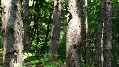 Софийското село Лозен спря кариера за строителни материали