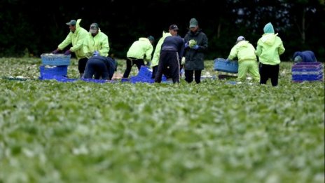 България е сред страните от ЕС с най-много робски труд
