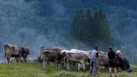 Справедливо заплащаното мляко в Европа се увеличава