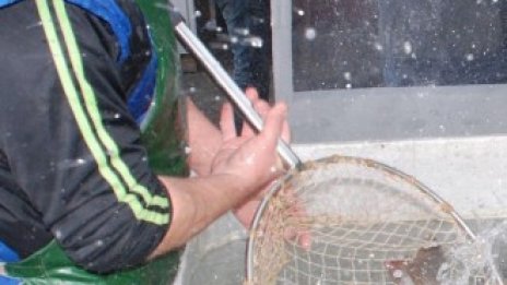 Черноморският улов е намалял с около две хиляди тона за една година