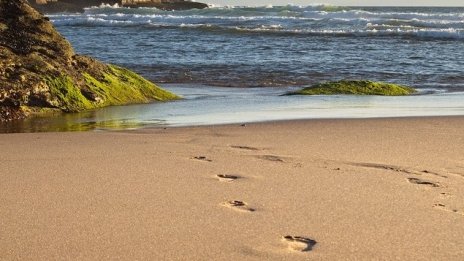 Кабинетът търси концесионери за два морски плажа