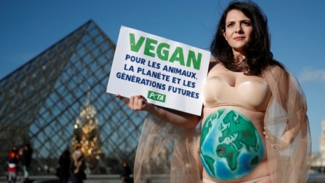 Веганските фондове побеждават пазара