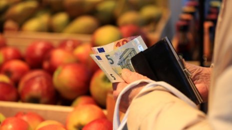 България в преддверието на еврозоната