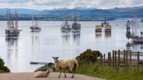 Петролът записва колеблив ръст след скок на запасите в САЩ*