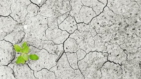 Напредък на САЩ в борбата с климатичните промени има - със или без Тръмп