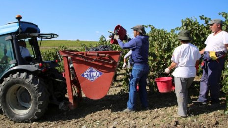ЕС прие нови мерки срещу социалния дъмпинг