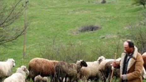 Скоростното одобрение на агропроекти продължава