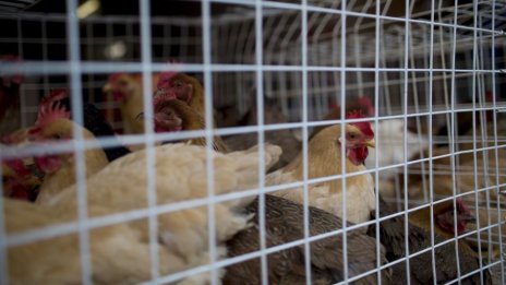 Темпът на спад на продажбите на "Градус" се забавя за деветмесечието