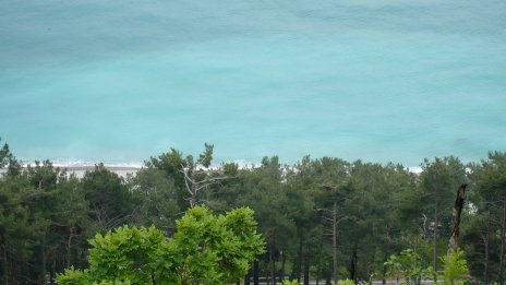 Протестиращи срещу руски инвестиции превзеха правителствения комплекс в Абхазия