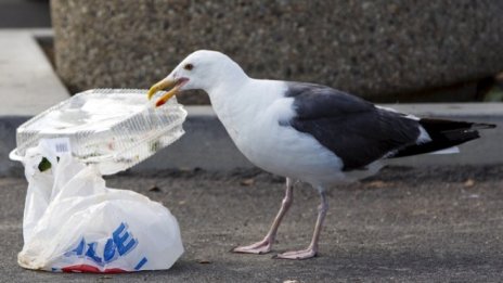 Целта на България е до 2040 г. да оползотворява 65% от отпадъците