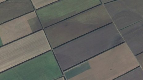 Плодородието на Добруджа – подарък от полезащитните пояси