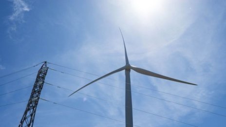 Китай подаде жалба до СТО заради австралийски мита