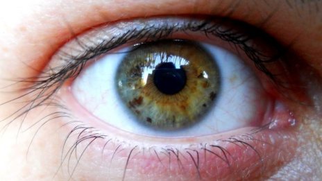 Български програмист измисли приложение, което предпазва очите