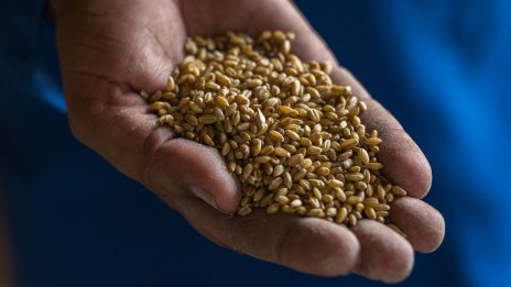 Украйна предлага зърнената сделка да продължи без Русия, елитни руски части укрепват източния фронт