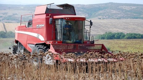 Фермерите отчитат ръст при реколтата от слънчоглед