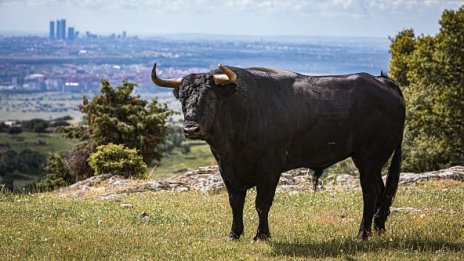 Защо американските акции са толкова скъпи въпреки кризата?