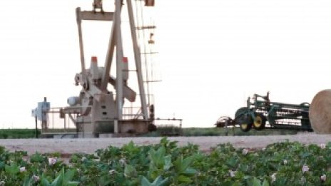 Подновените опасения за търсенето понижават цените на петрола*