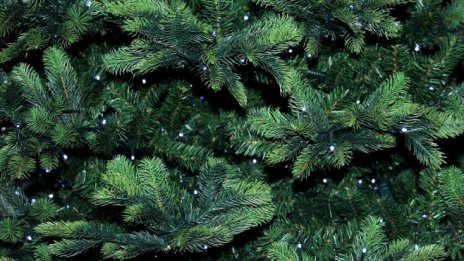 Графика на деня: Истинските елхи все още бият изкуствените по продажби в САЩ