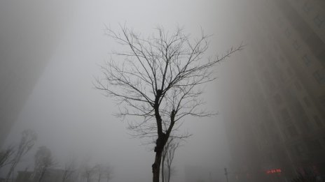 38,4 трлн. долара е цената, която светът трябва да плати за промените в климата