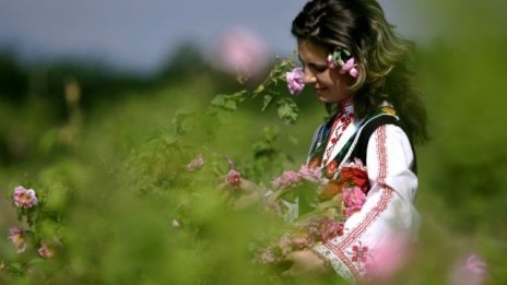 Българо-японският стокообмен достигна рекорд за последните десет години 