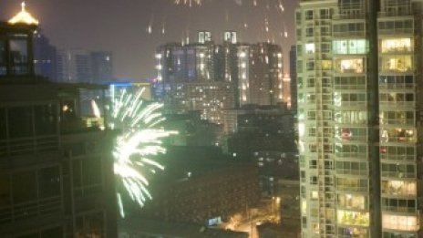 Графика на деня: Нова година на всеки два месеца - кога празнуват хората в света