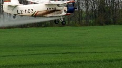 Увеличават се засетите площи с царевица и слънчоглед 