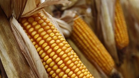 Фермери протестираха заради субсидиите за агроекология