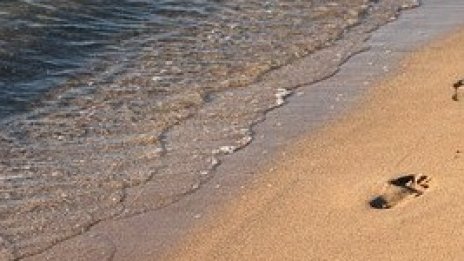 Правителството откри процедури за консеция на четири морски плажа