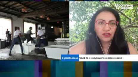 Има ли спад на френските инвестиции в България?