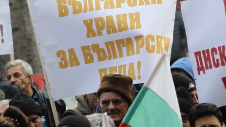 Овцевъди протестираха пред агроминистерството заради наредба за субсидиите