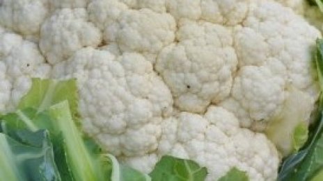 Храните поскъпват в края на ноември