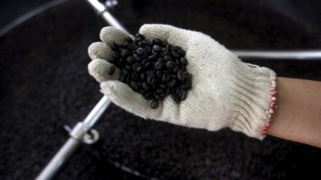 Как климатичните промени изправят света пред недостиг на кафе