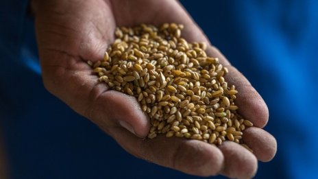 Русия иска удължаване на сделката за износ на украинско зърно само с 60 дни