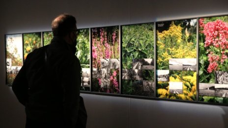 Кадър на деня за 9 юни