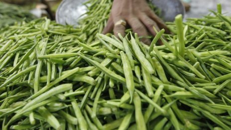 Как едно земеделско растение може да разруши фракинг мечтата