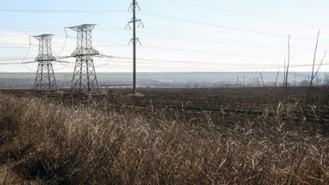 Украйна може да поднови износа на пшеница, ако сеитбата върви добре