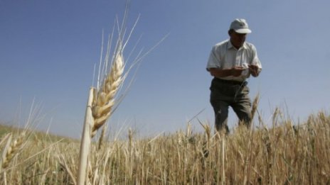 Войната в Украйна може да доведе до световна продоволствена криза