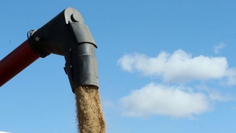 Кирил Петков: Отпускаме пари за зърно