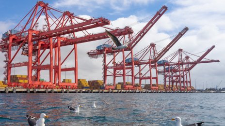 Приходите от мита в САЩ достигат нов месечен рекорд през август