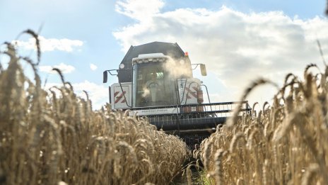 Храните продължават да поевтиняват в световен мащаб въпреки заплахите за предлагането