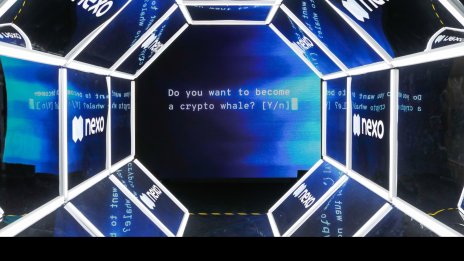Nexo не възнамерява да съкращава служители в България