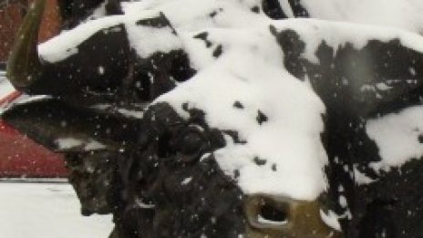 SOFIX приключи с минимално повишение деня и седмицата