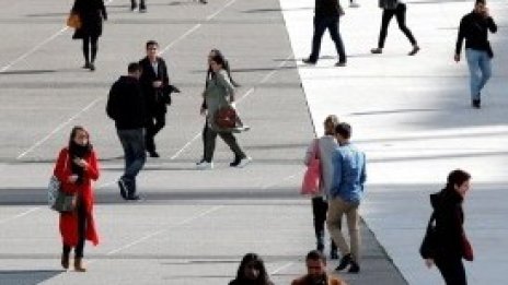 2019 г. е най-добрата за заетостта у нас през последните 30 години