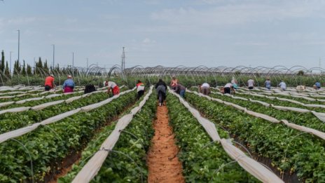 Без лоби и без подкрепа: Източноевропейските работници в Германия