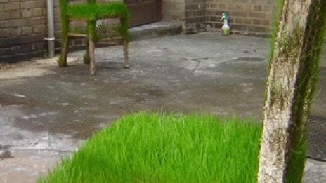 Мебели от трева