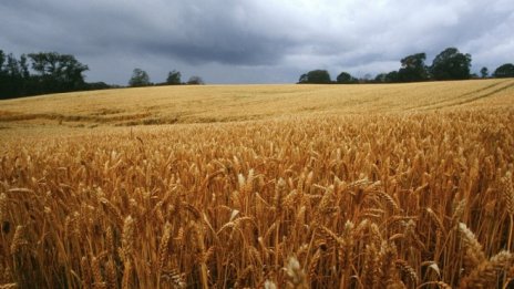 Време е фермерите да се подготвят за още по-сложна агрополитика