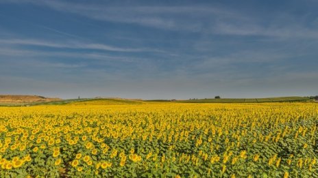 Тихомир Безлов: Концентрацията на агросубсидии води до криминални практики
