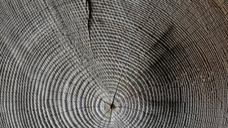 Необучен персонал работи с машини за преработка на дървесина