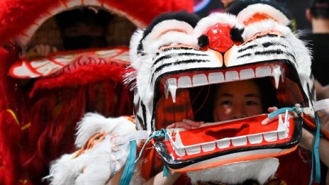 Кадър на деня за 29 януари