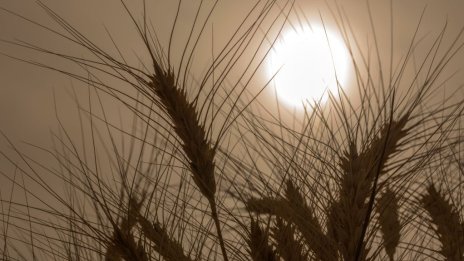 Корабите с украинско зърно отново плават въпреки изтеглянето на Русия от сделката